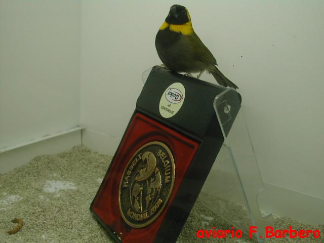 Medalla de Oro en Alemania 2008