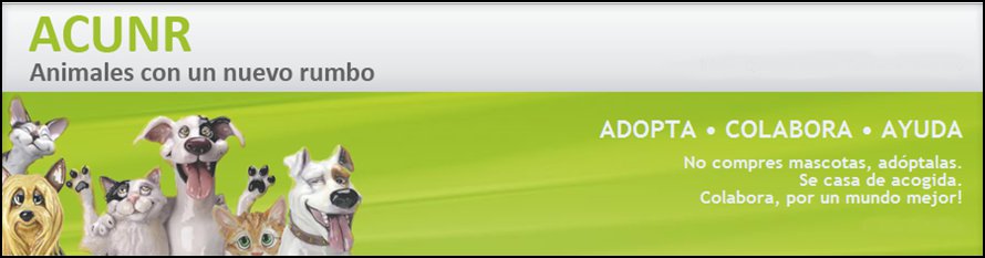 ANIMALES CON UN NUEVO RUMBO